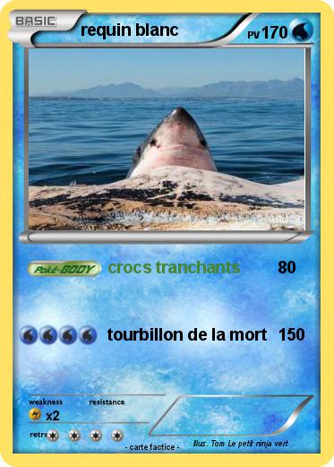 Pokemon requin blanc