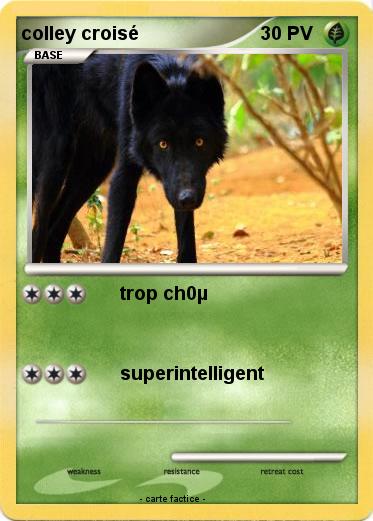 Pokemon colley croisé