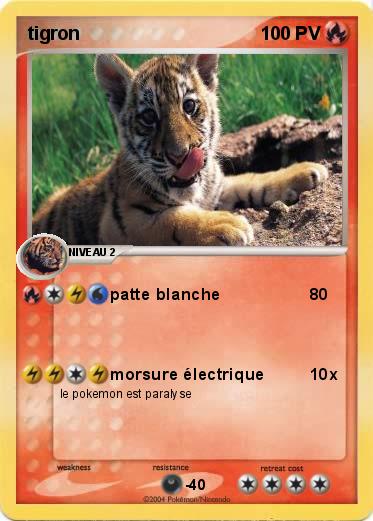 Pokemon tigron