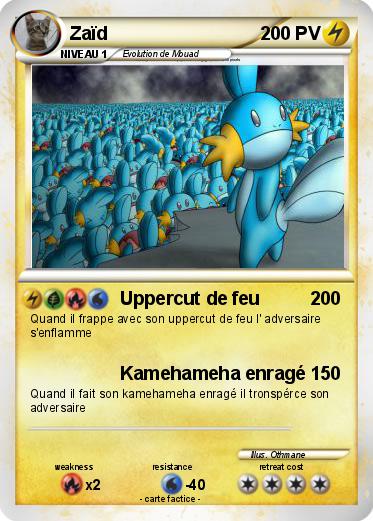 Pokemon Zaïd