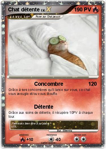 Pokemon Chat détente