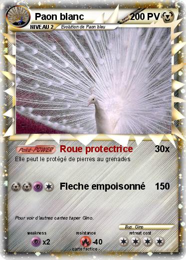 Pokemon Paon blanc