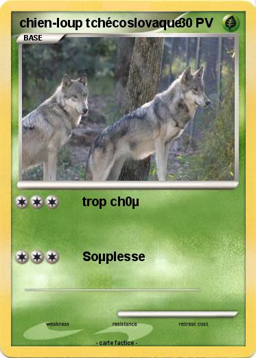 Pokemon chien-loup tchécoslovaque