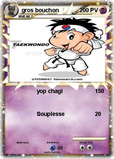 Pokemon gros bouchon