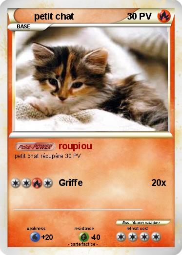 Pokemon petit chat