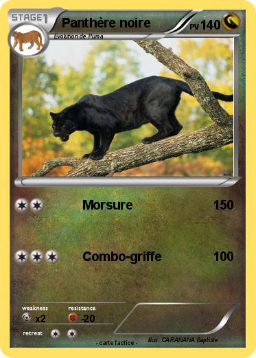 Pokemon Panthère noire