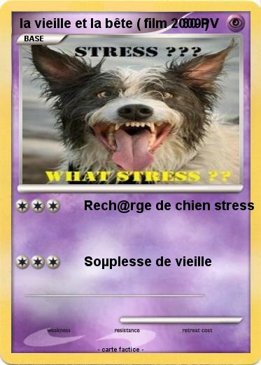 Pokemon la vieille et la bête ( film 2009 )