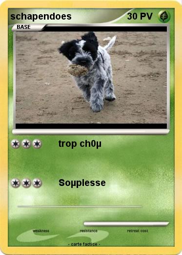 Pokemon schapendoes