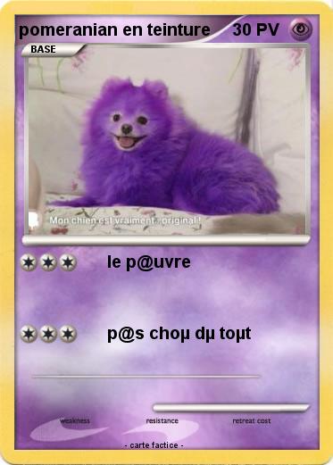 Pokemon pomeranian en teinture