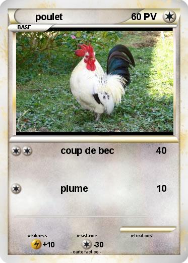 Pokemon poulet