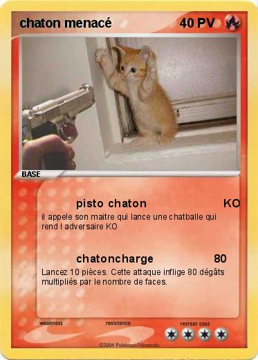 Pokemon chaton menacé