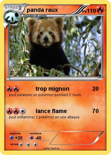 Pokemon panda raux