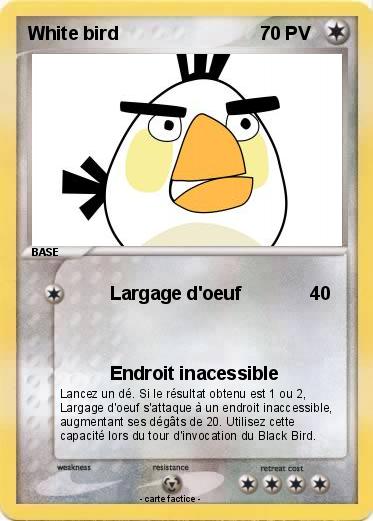 Pokemon White bird