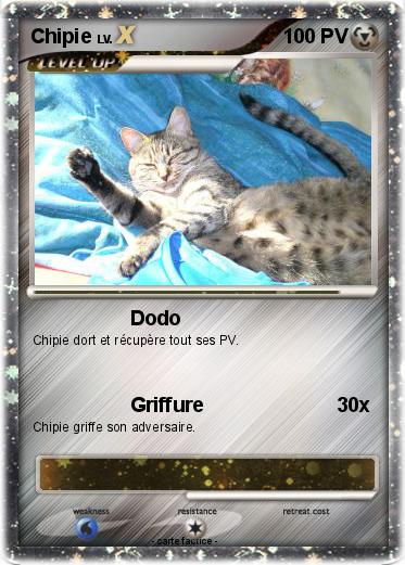 Pokemon Chipie
