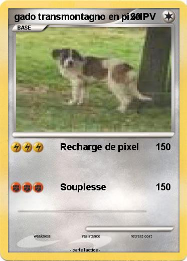 Pokemon gado transmontagno en pixel