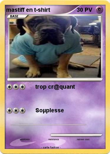 Pokemon mastiff en t-shirt