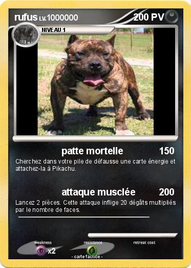 Pokemon rufus