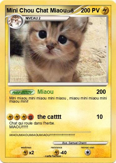 Pokemon Mini Chou Chat Miaou