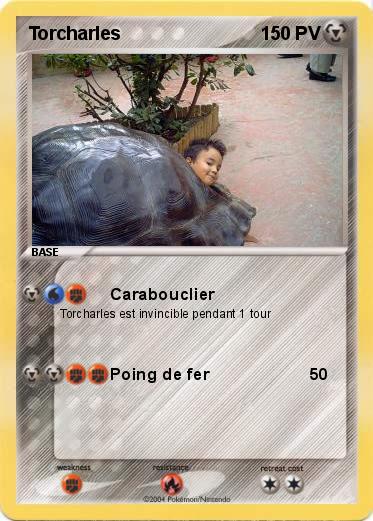 Pokemon Torcharles