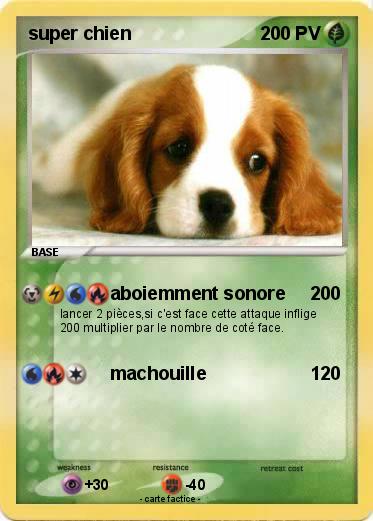 Pokemon super chien