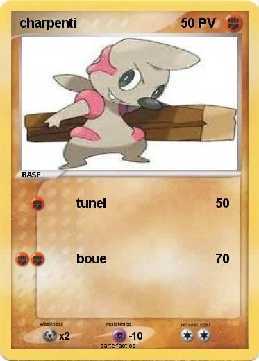 Pokemon charpenti