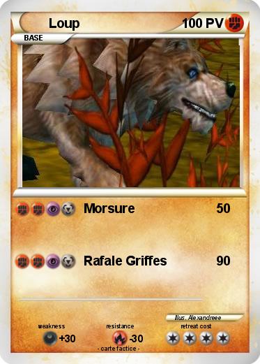 Pokemon Loup