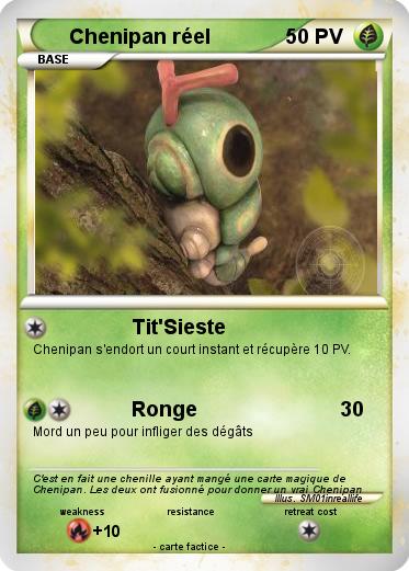 Pokemon Chenipan réel