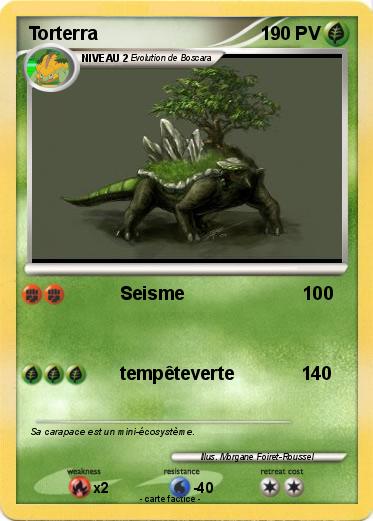 Pokemon Torterra