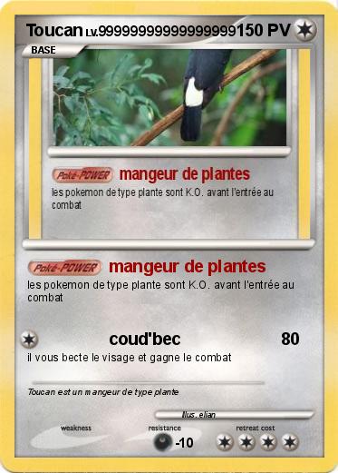 Pokemon Toucan