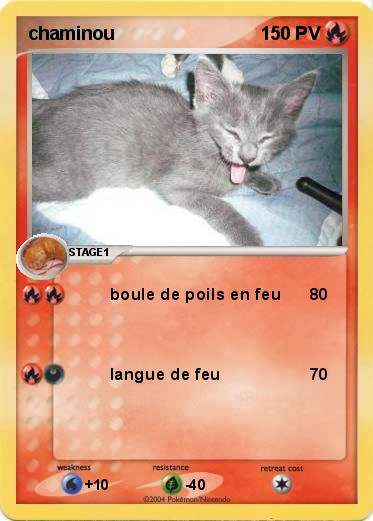 Pokemon chaminou