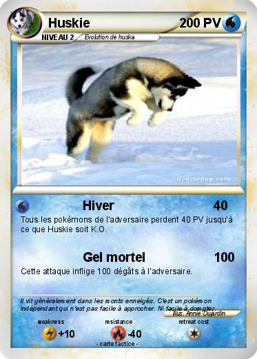Pokemon Huskie