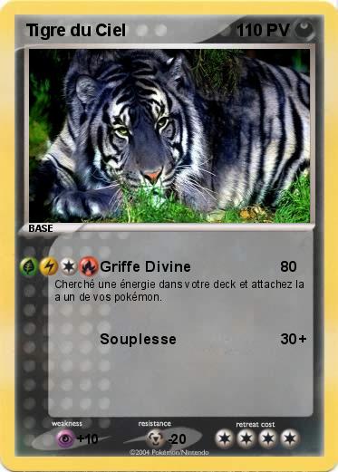 Pokemon Tigre du Ciel