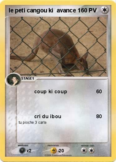 Pokemon le peti cangou ki  avance 1
