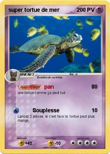 Pokemon super tortue de mer