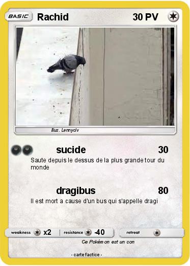 Pokemon Rachid