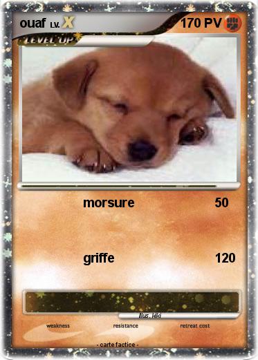 Pokemon ouaf