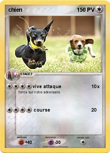 Pokemon chien