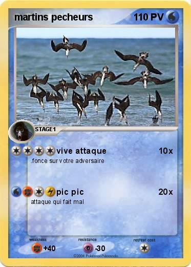 Pokemon martins pecheurs