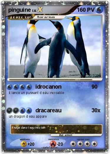 Pokemon pinguine