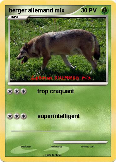 Pokemon berger allemand mix
