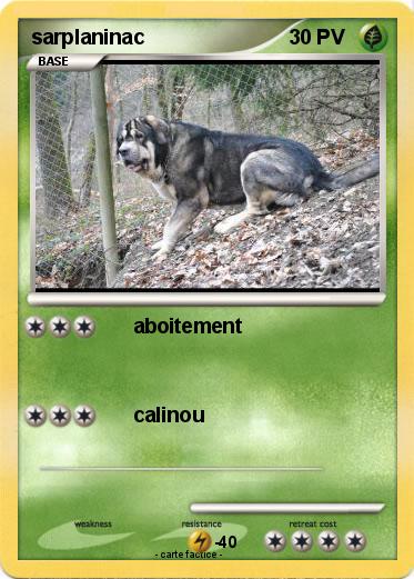 Pokemon sarplaninac