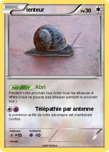 Pokemon lenteur