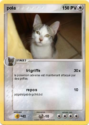 Pokemon pola