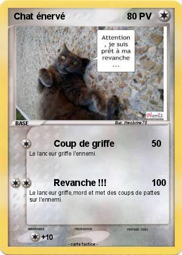 Pokemon Chat énervé
