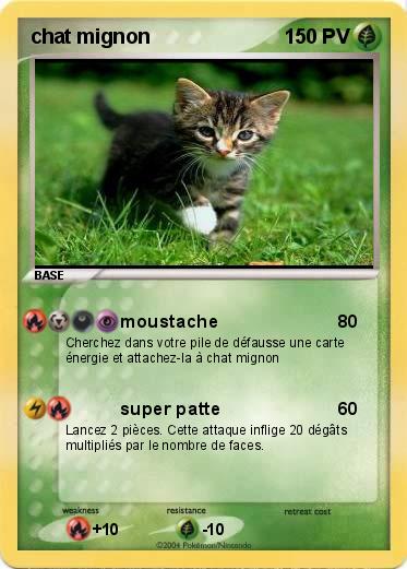 Pokemon chat mignon