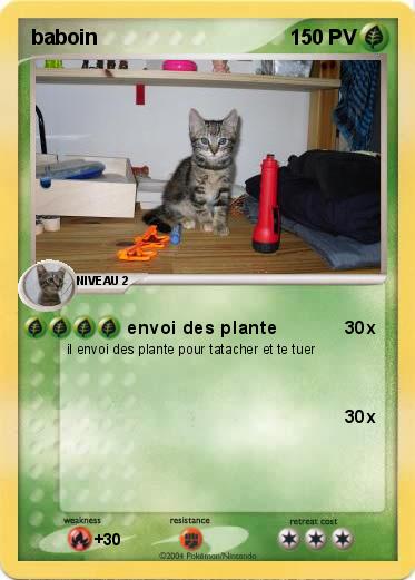Pokemon baboin