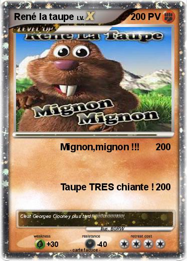 Pokemon René la taupe