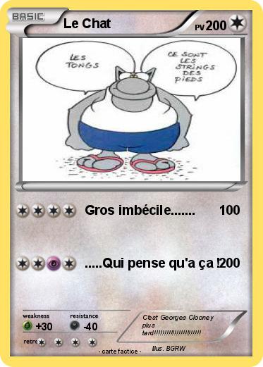 Pokemon Le Chat