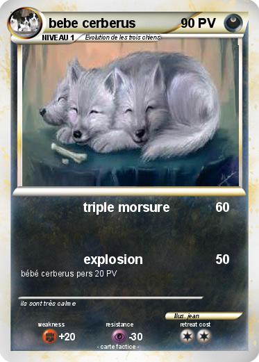 Pokemon bebe cerberus