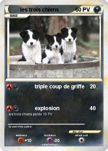 Pokemon les trois chiens